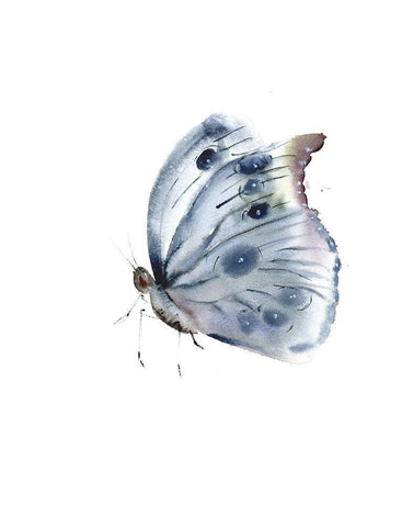 Delicate Wings I White Modern Wood Framed Art Print with Double Matting by Shefranov, Olga