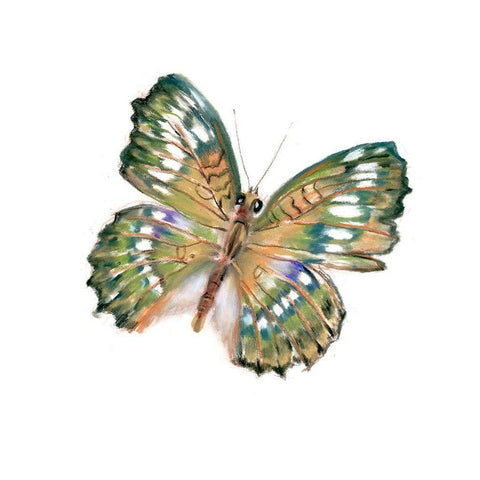 Delicate Wings II Black Modern Wood Framed Art Print with Double Matting by Shefranov, Olga