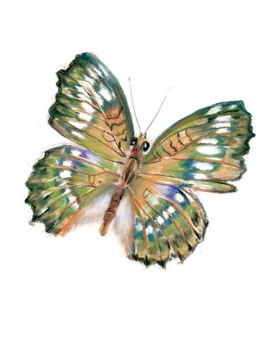 Delicate Wings II White Modern Wood Framed Art Print with Double Matting by Shefranov, Olga