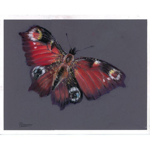 Soar Black Modern Wood Framed Art Print by Shefranov, Olga