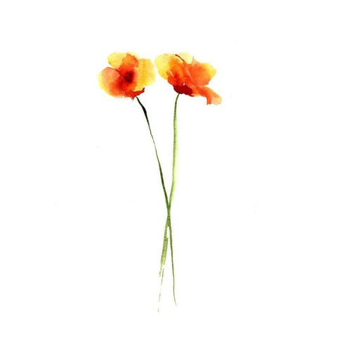 Poppy II White Modern Wood Framed Art Print by Shefranov, Olga