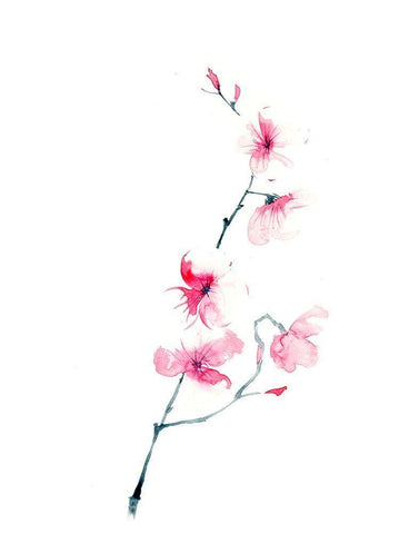 Cherry Blossom White Modern Wood Framed Art Print with Double Matting by Shefranov, Olga