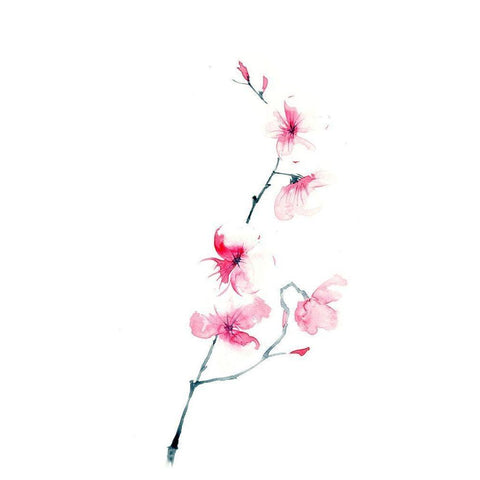 Cherry Blossom Black Modern Wood Framed Art Print with Double Matting by Shefranov, Olga