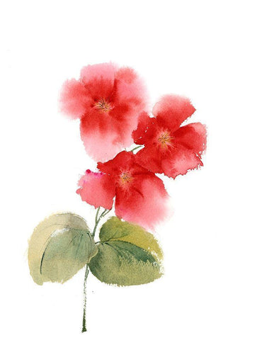 Red Flowers I White Modern Wood Framed Art Print with Double Matting by Shefranov, Olga