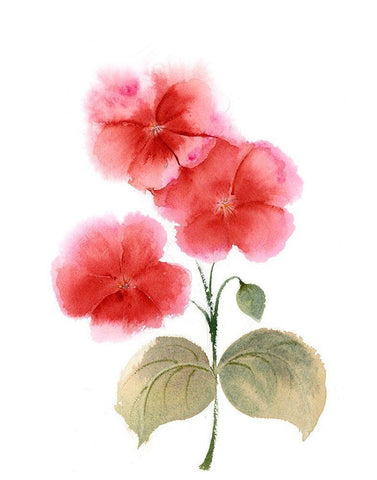 Red Flowers II White Modern Wood Framed Art Print with Double Matting by Shefranov, Olga