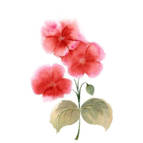 Red Flowers II White Modern Wood Framed Art Print by Shefranov, Olga