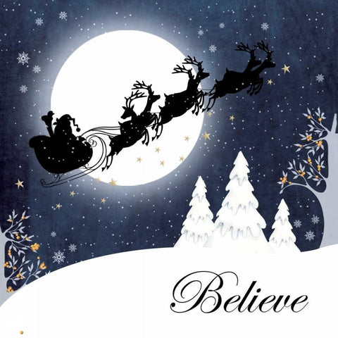 Believe White Modern Wood Framed Art Print with Double Matting by P.S. Art Studios