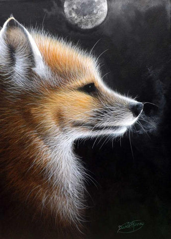 Fox White Modern Wood Framed Art Print with Double Matting by P.S. Art Studios