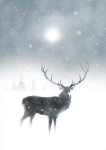 In the Mist Black Ornate Wood Framed Art Print with Double Matting by P.S. Art Studios