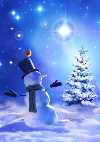 Star Bright Snowman White Modern Wood Framed Art Print with Double Matting by P.S. Art Studios