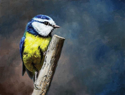 Overwatch Bird White Modern Wood Framed Art Print with Double Matting by P.S. Art Studios