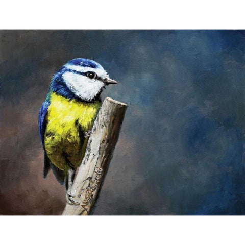 Overwatch Bird Black Modern Wood Framed Art Print by P.S. Art Studios