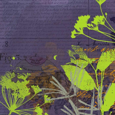 Wild Things I Black Ornate Wood Framed Art Print with Double Matting by P.S. Art Studios