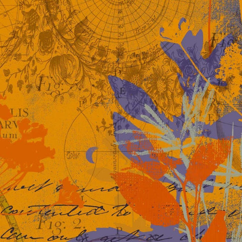 Wild Things II Black Ornate Wood Framed Art Print with Double Matting by P.S. Art Studios