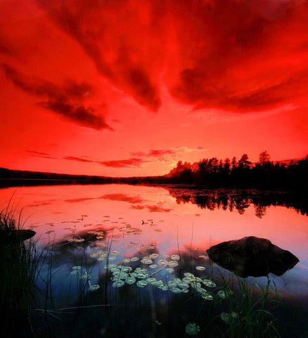 Scarlett Night White Modern Wood Framed Art Print with Double Matting by P.S. Art