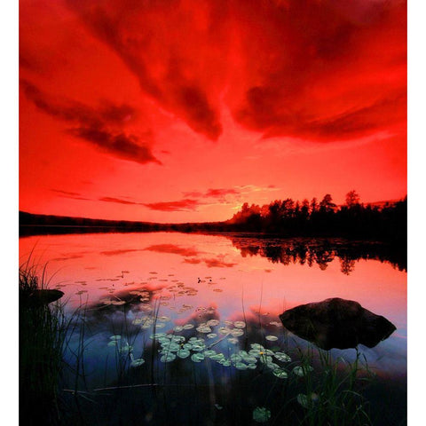 Scarlett Night Black Modern Wood Framed Art Print by P.S. Art