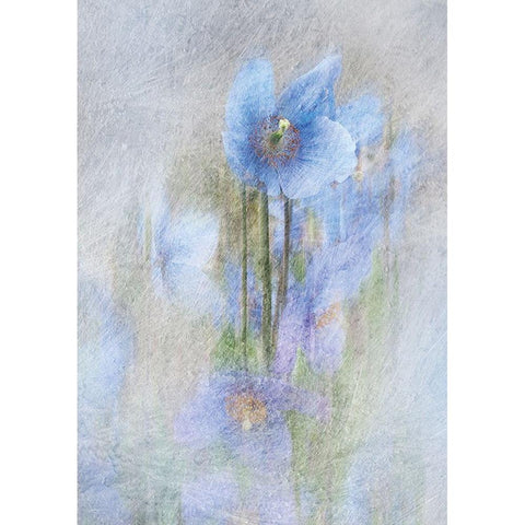 Violet Flowers II Gold Ornate Wood Framed Art Print with Double Matting by P.S. Art