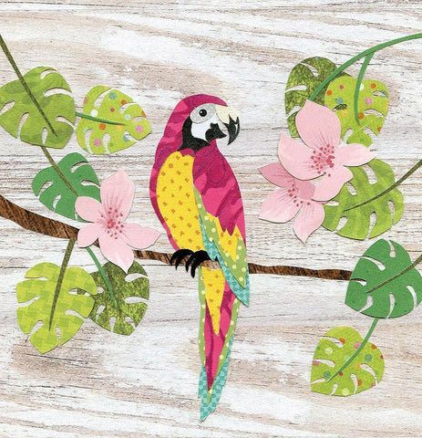 Parrott White Modern Wood Framed Art Print with Double Matting by P.S. Art
