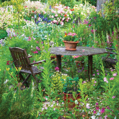 Garden II Black Modern Wood Framed Art Print with Double Matting by P.S. Art