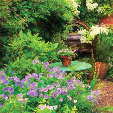 Garden V Black Ornate Wood Framed Art Print with Double Matting by P.S. Art