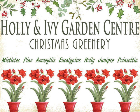 Holly and Ivy White Modern Wood Framed Art Print with Double Matting by P.S. Art