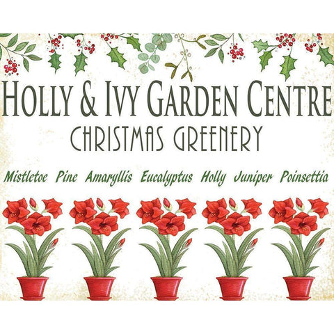 Holly and Ivy Black Modern Wood Framed Art Print with Double Matting by P.S. Art