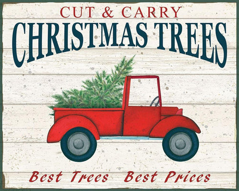 Cut and Carry White Modern Wood Framed Art Print with Double Matting by P.S. Art