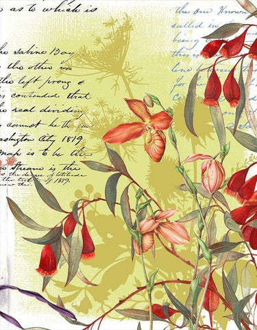 Floral Collage I White Modern Wood Framed Art Print with Double Matting by P.S. Art