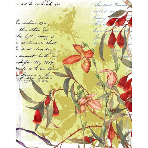 Floral Collage I Black Modern Wood Framed Art Print with Double Matting by P.S. Art