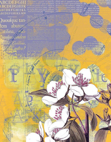 Floral Collage IV White Modern Wood Framed Art Print with Double Matting by P.S. Art