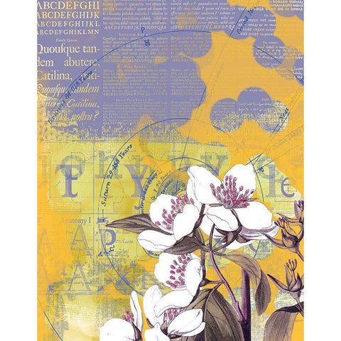 Floral Collage IV Gold Ornate Wood Framed Art Print with Double Matting by P.S. Art