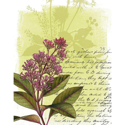 Floral Collage V White Modern Wood Framed Art Print by P.S. Art