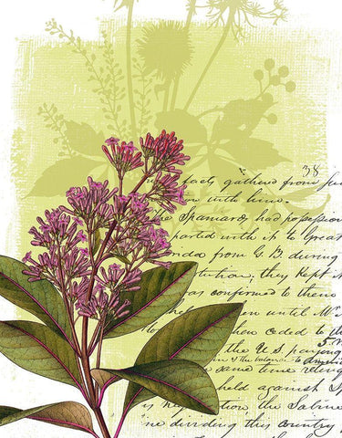 Floral Collage V White Modern Wood Framed Art Print with Double Matting by P.S. Art