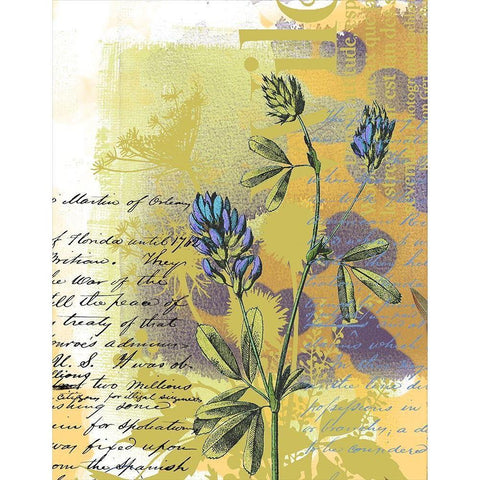 Floral Collage VI Gold Ornate Wood Framed Art Print with Double Matting by P.S. Art