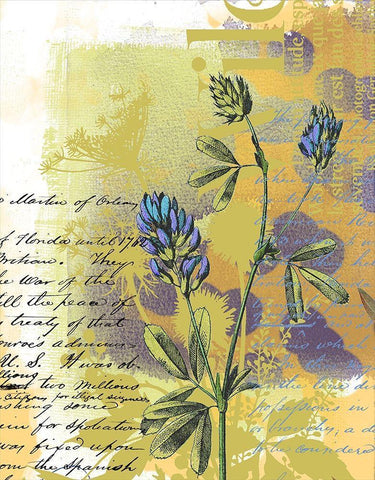 Floral Collage VI Black Ornate Wood Framed Art Print with Double Matting by P.S. Art