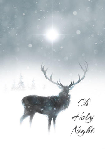 Oh Holy Night White Modern Wood Framed Art Print with Double Matting by P.S. Art