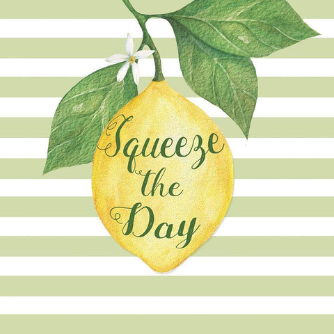 Squeeze the Day White Modern Wood Framed Art Print with Double Matting by P.S. Art
