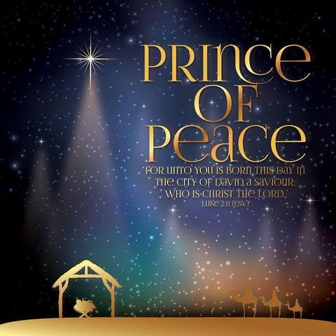 Prince of Peace Black Modern Wood Framed Art Print with Double Matting by P.S. Art