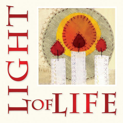 Light of Life White Modern Wood Framed Art Print with Double Matting by P.S. Art