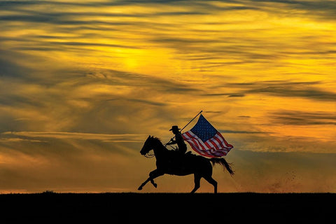 Patriotic Run White Modern Wood Framed Art Print with Double Matting by PBurchettPhoto