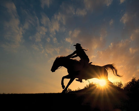 Lone Rider White Modern Wood Framed Art Print with Double Matting by PBurchettPhoto