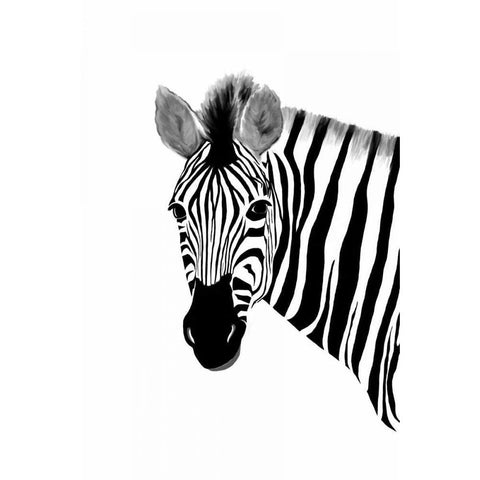 Zack a Zebra Black Modern Wood Framed Art Print with Double Matting by Murdock, Ramona