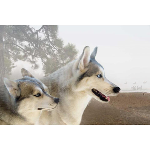 Ready for the Chase White Modern Wood Framed Art Print by Murdock, Ramona