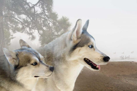 Ready for the Chase White Modern Wood Framed Art Print with Double Matting by Murdock, Ramona