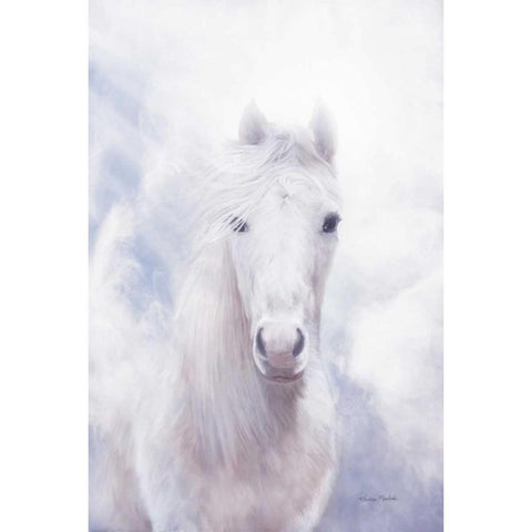 Free Spirit Black Modern Wood Framed Art Print with Double Matting by Murdock, Ramona