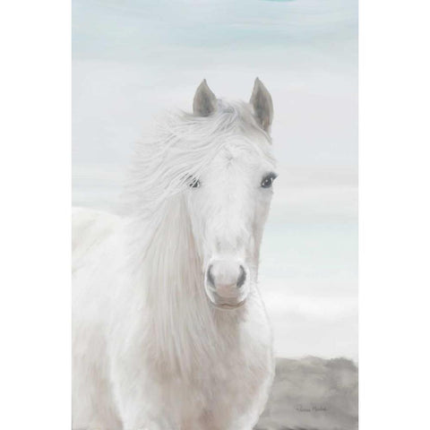 Wild and Free II Black Modern Wood Framed Art Print with Double Matting by Murdock, Ramona