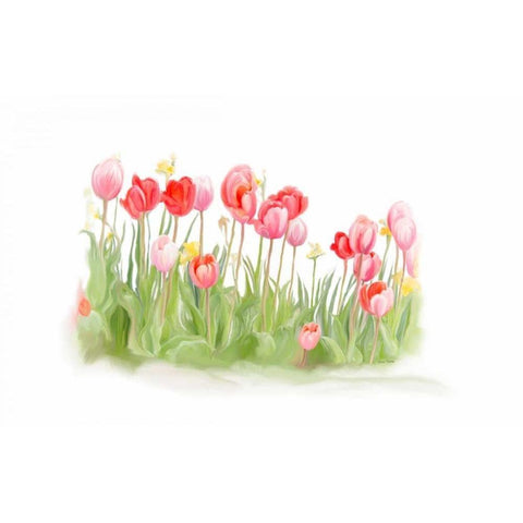 Tulips III White Modern Wood Framed Art Print by Murdock, Ramona