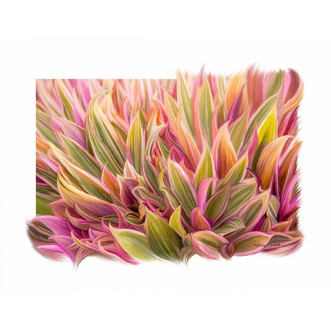 Snake Plant Gold Ornate Wood Framed Art Print with Double Matting by Murdock, Ramona