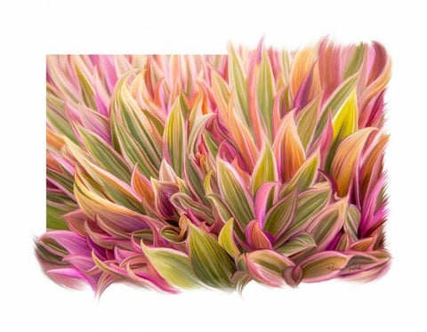 Snake Plant White Modern Wood Framed Art Print with Double Matting by Murdock, Ramona