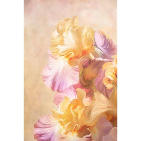 Lovely Iris Gold Ornate Wood Framed Art Print with Double Matting by Murdock, Ramona